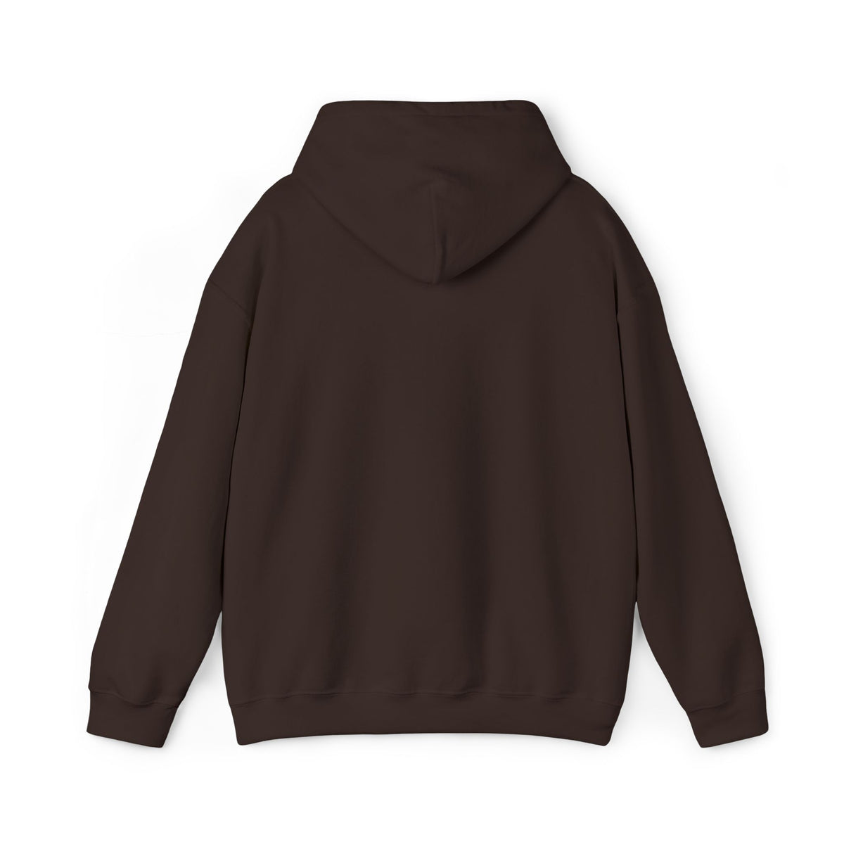 Snowed In Hoodie