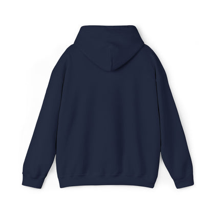 Snowed In Hoodie